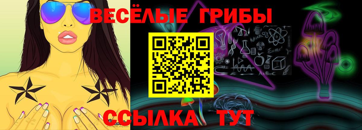 Галлюциногенные грибы Psilocybine cubensis Асино